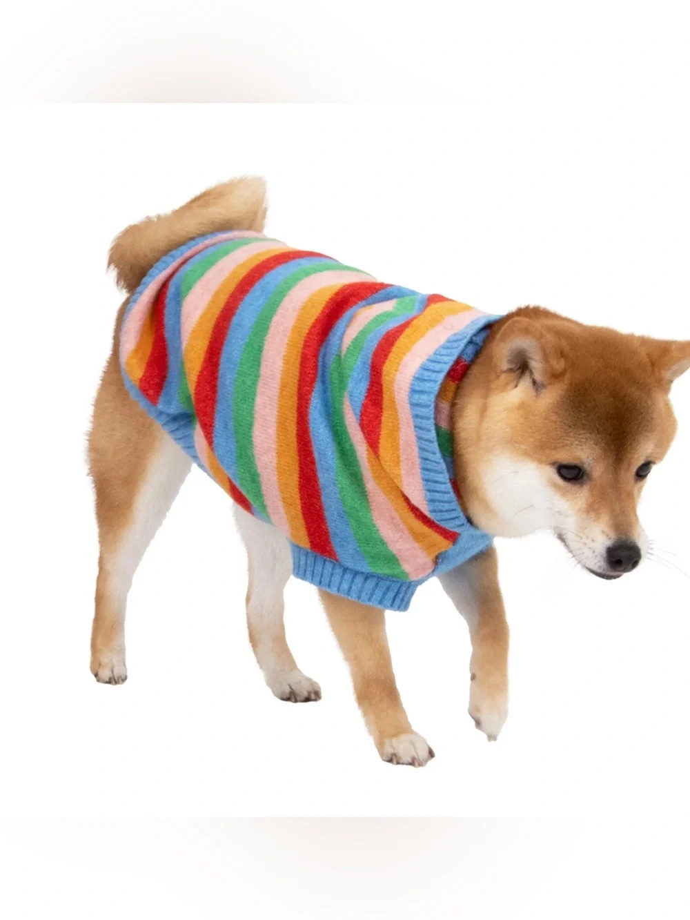 NWT Oodles Hooded Striped Fall Dog Sweater, size Large (25-45 lbs)